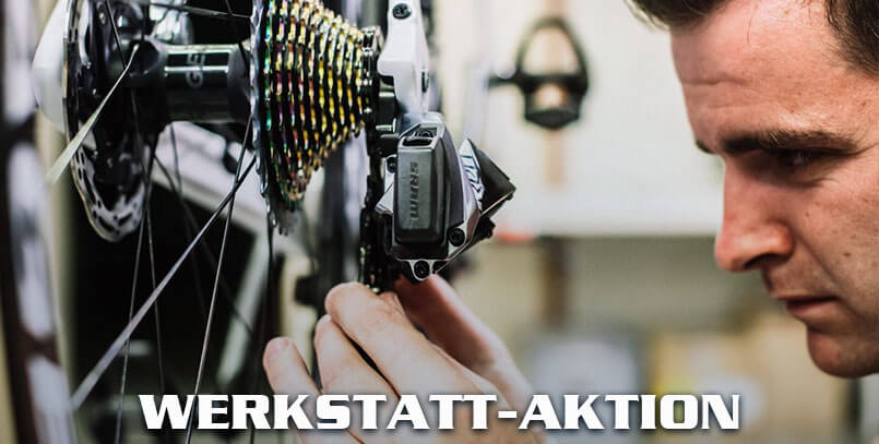 Werkstatt-Aktion bis 28.02.2021