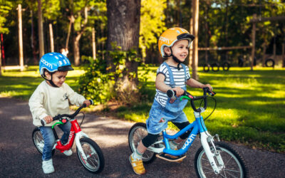 Franken-Bike-Marathon